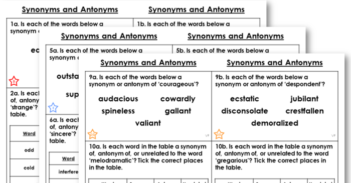 Level f unit 2 synonyms