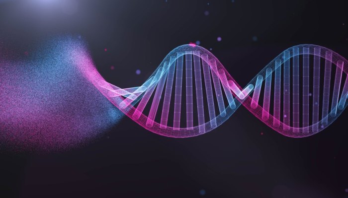 Which best illustrates the importance of dna technology