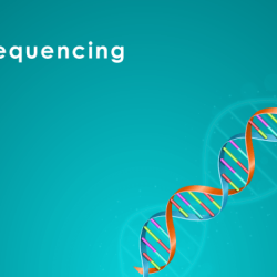 Dna technology applications slideshare biology