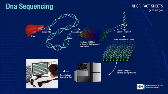 Cloning dna recombinant