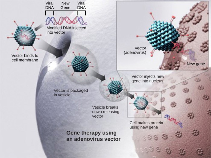 Which best illustrates the importance of dna technology